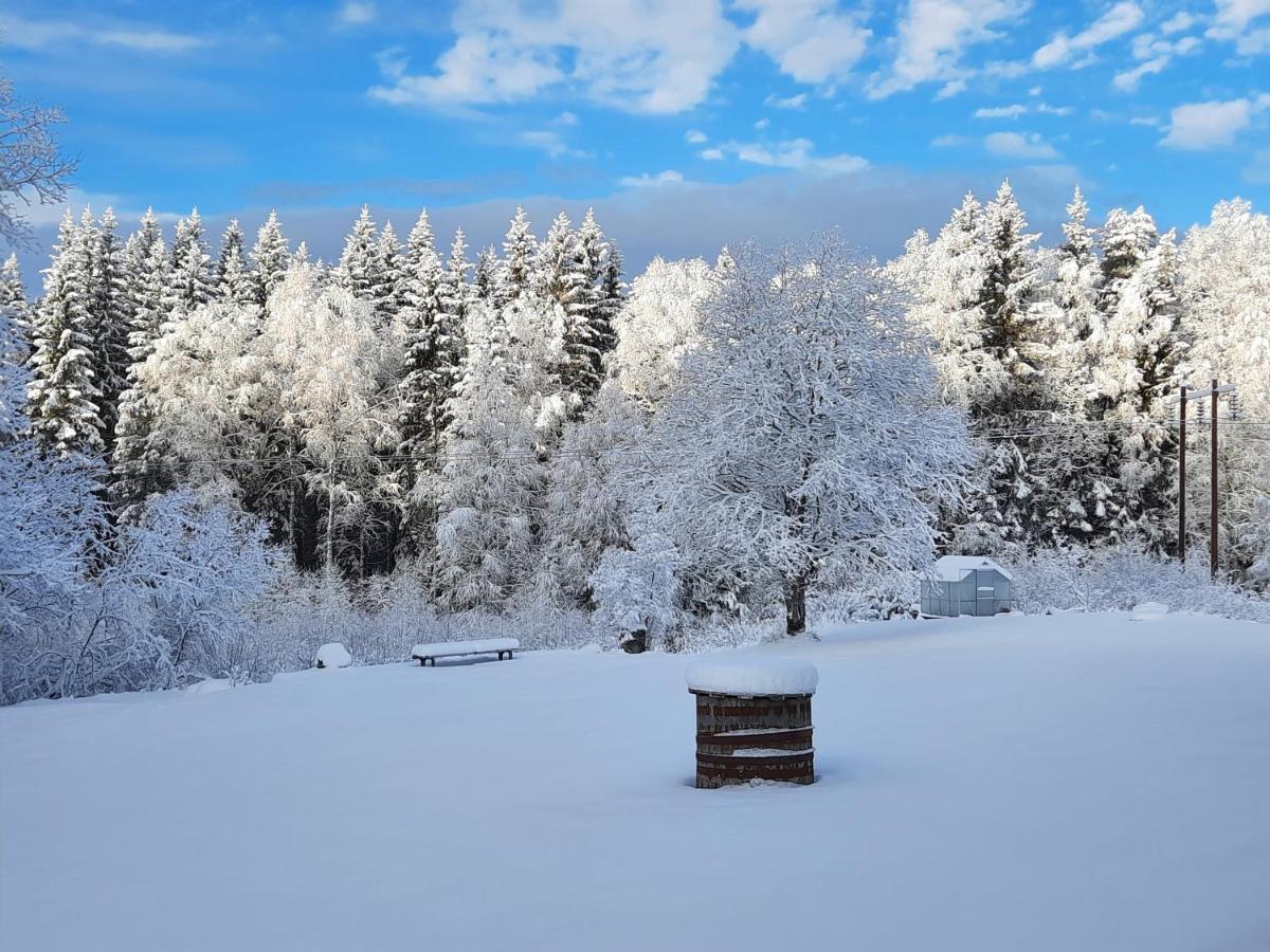 Geijersholms Herrgard Hagfors Dış mekan fotoğraf